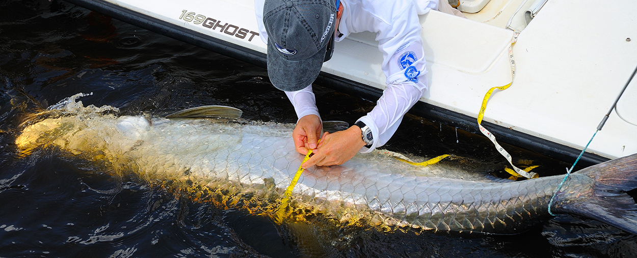 tarpon bonefish center