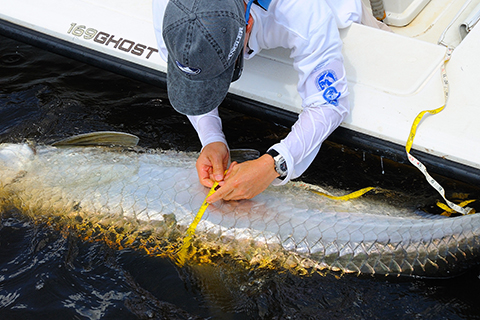 tarpon bonefish center